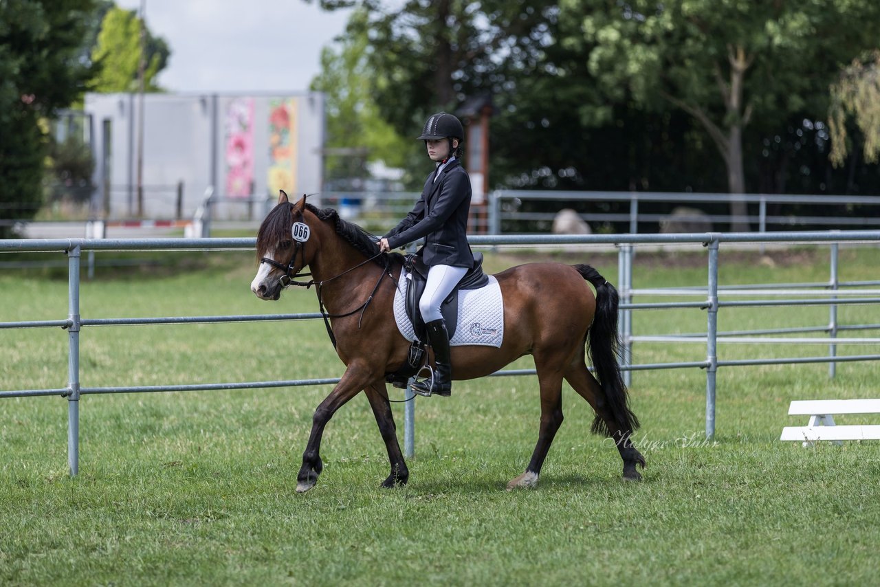 Bild 3 - Pony Akademie Turnier